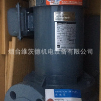 EBARA FSFD系列日本原装离心泵：高效、可靠、环保